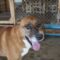 Hutch