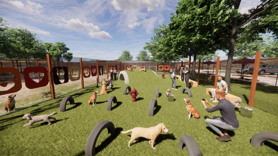 Yaqui Animal Rescue (Cane's Playground) - Agility