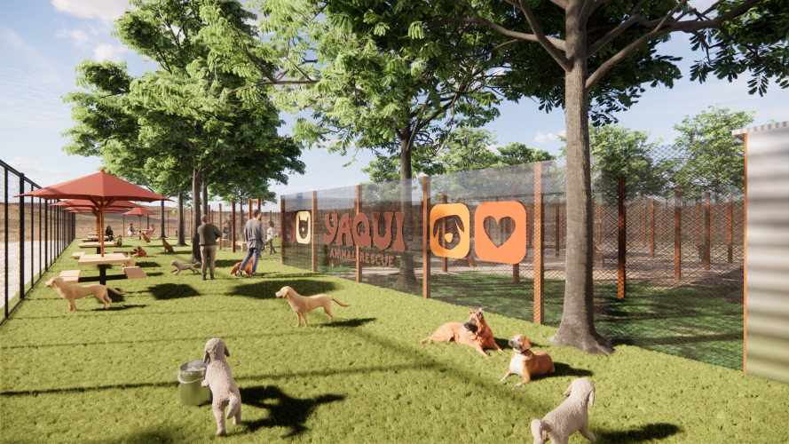 Yaqui Animal Rescue (Cane's Playground) - Entry Fence