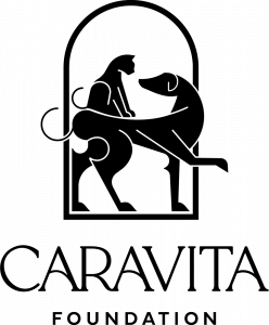 Caravita Foundation Logo