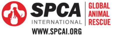 SPCAI
